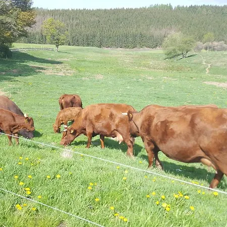 Harzer Bauernhof * Thale