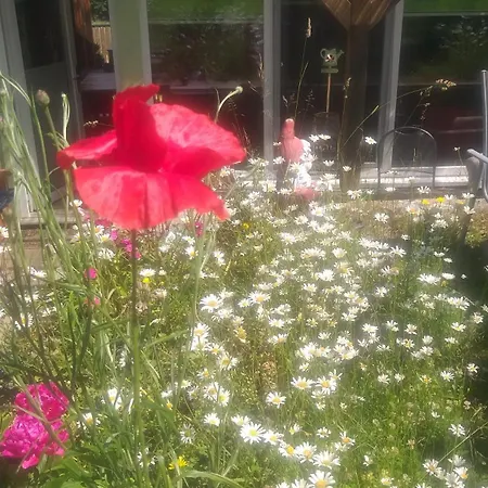 Vakantiehuis Harzer Bauernhof