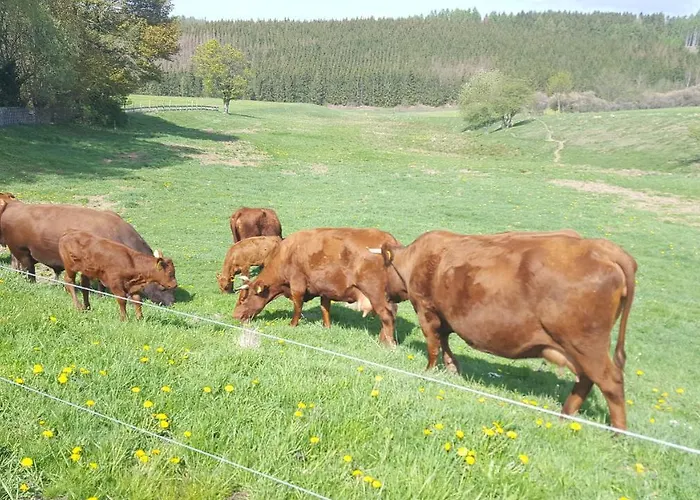 Harzer Bauernhof * Thale