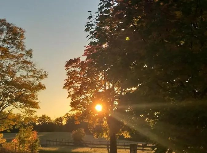 Semesterbostad Harzer Bauernhof Thale