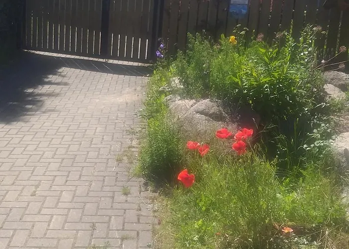 Harzer Bauernhof Semesterbostad