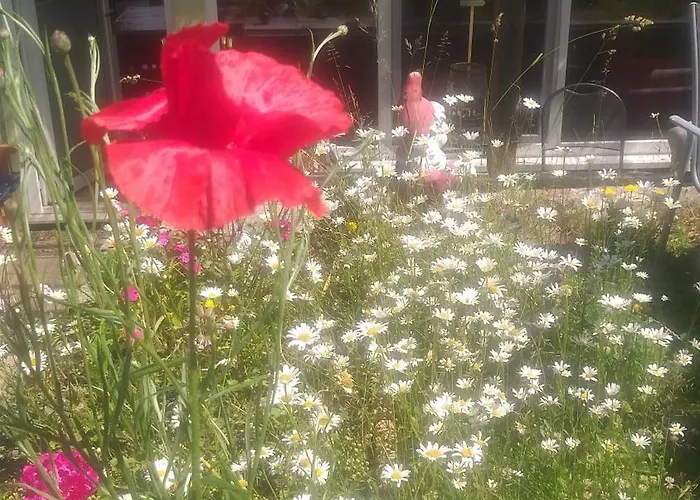 Semesterbostad Harzer Bauernhof